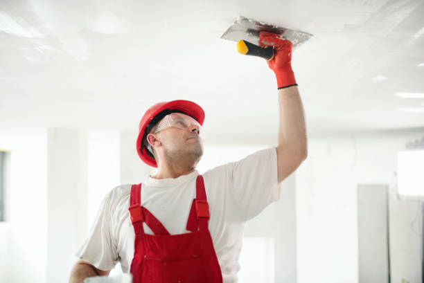 Best Mold Damage Restoration  in Harvest, AL